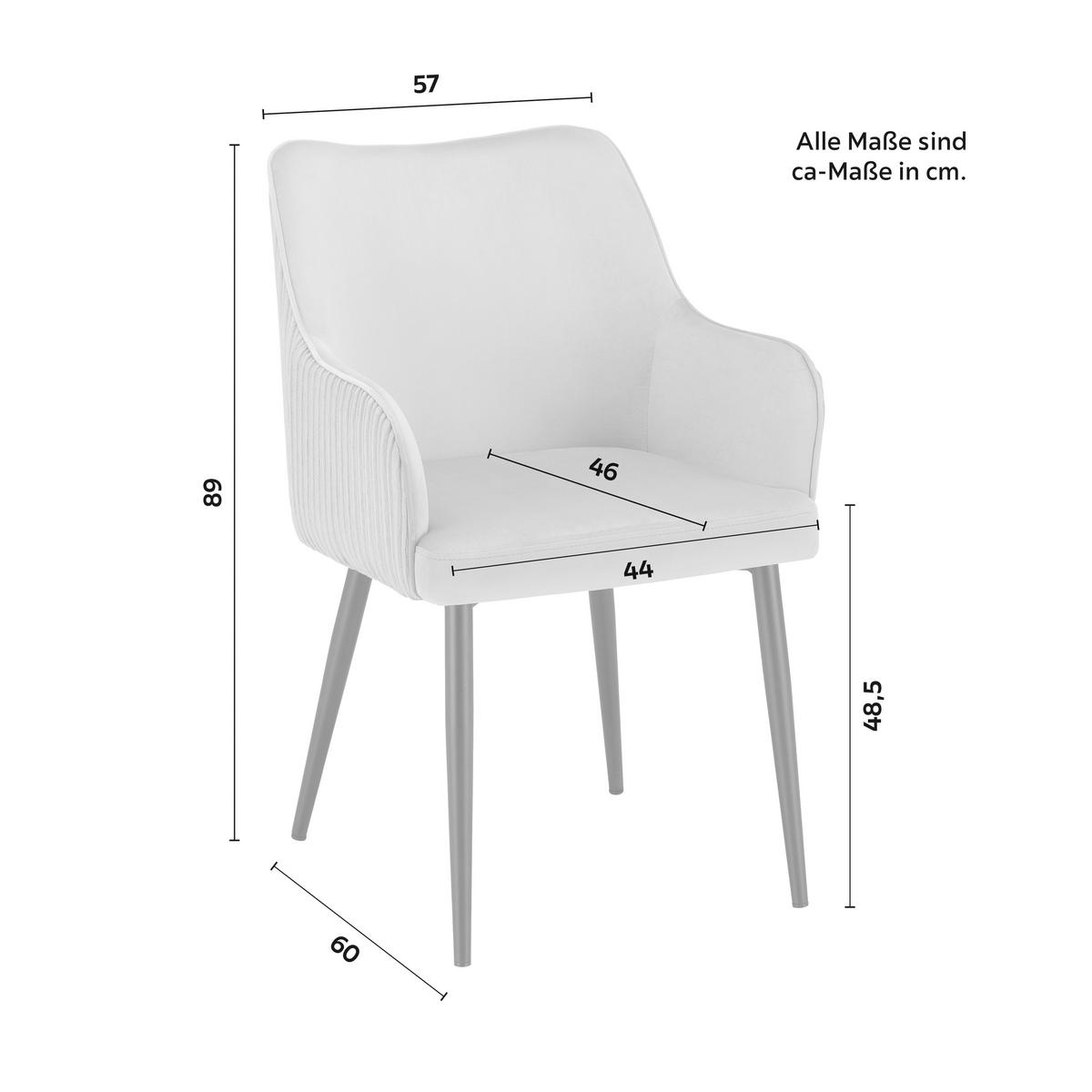 Armlehnstuhl Caria Hellgrau Samt Gepolstert - Hellgrau/Schwarz, MODERN, Holz/Textil (57/89/60cm) - Bessagi Home