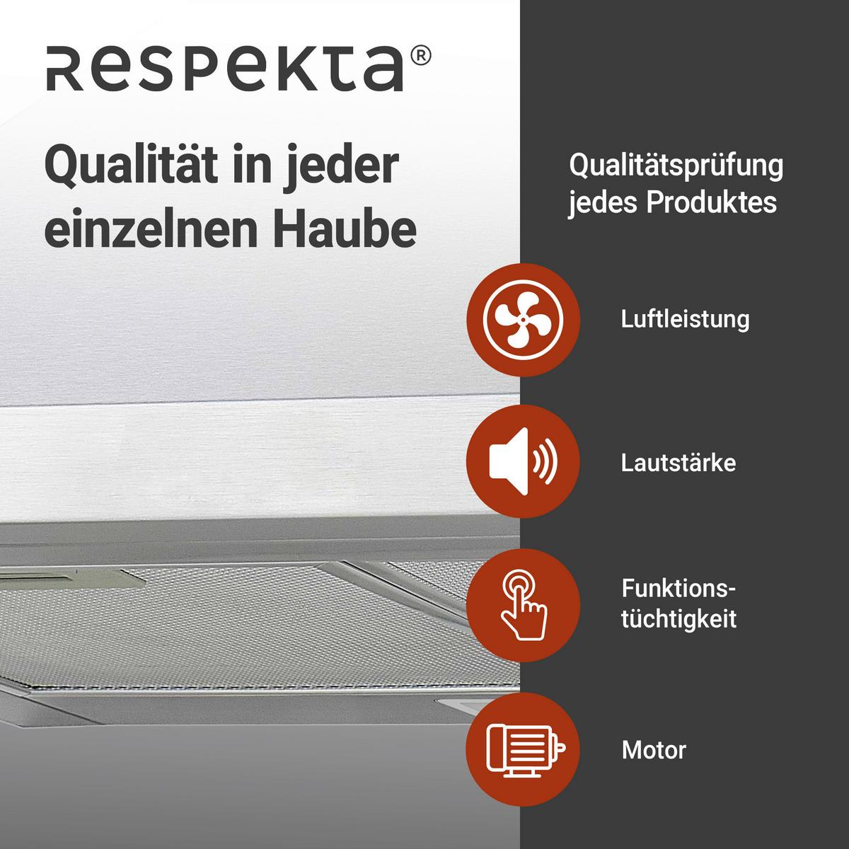 Dunstabzugshaube Dalia Edelstahl B: ca. 60 cm - Edelstahlfarben, Trend, Metall (60/70-108/50cm) - Respekta