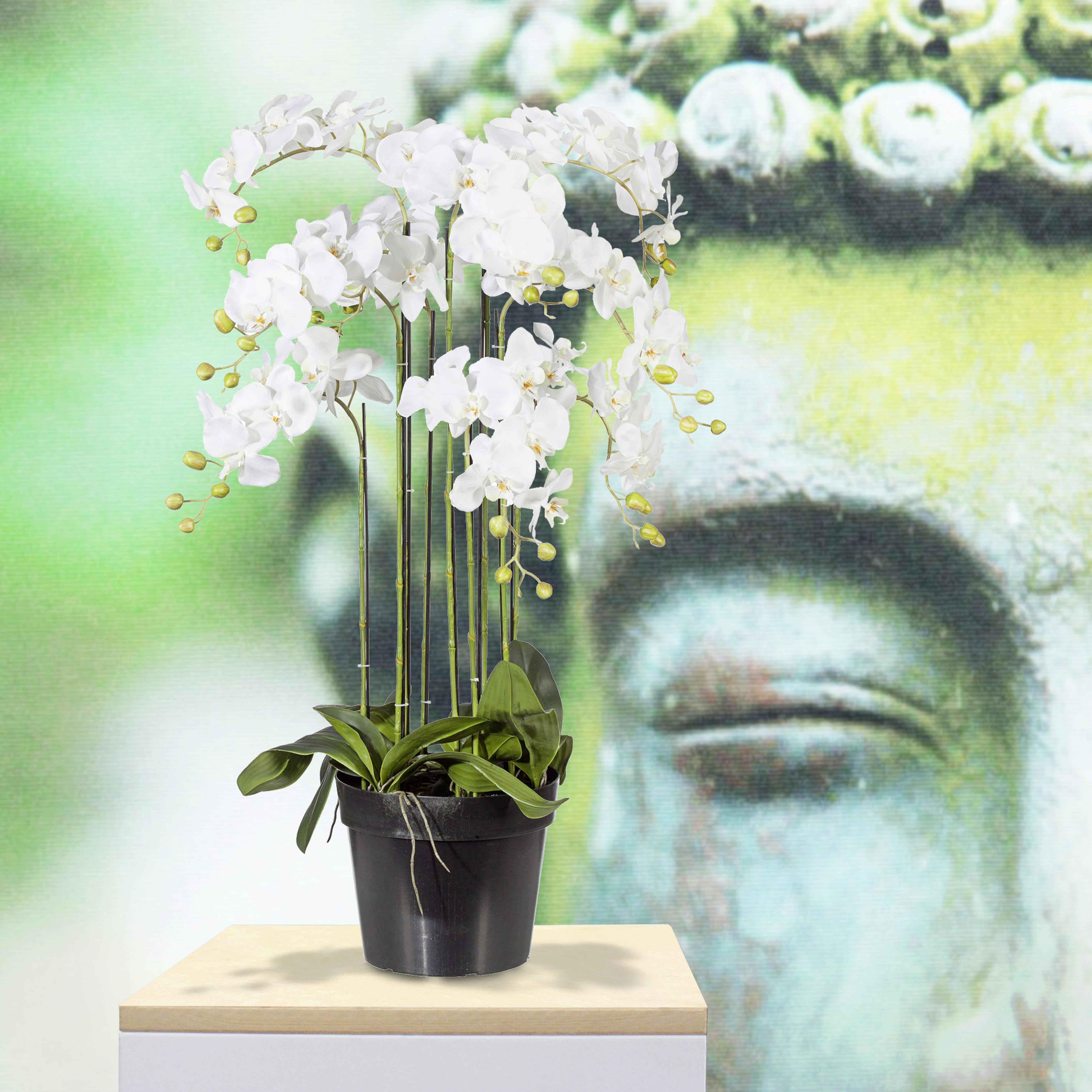 Kunstblume Orchidee ca. 90cm - Weiß/Grün, Basics, Kunststoff (90cm) - P & B