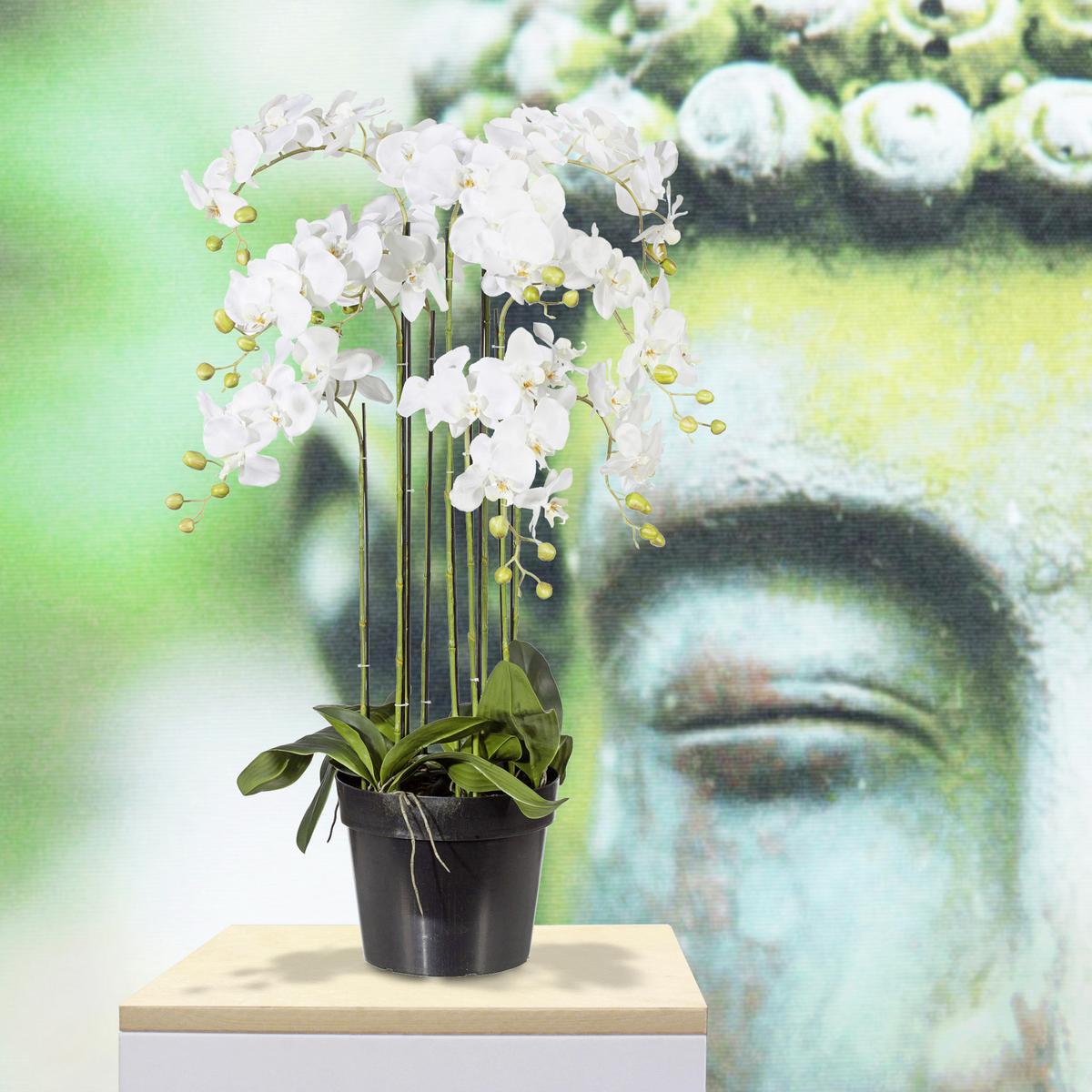 Kunstblume Orchidee ca. 90cm - Weiß/Grün, Basics, Kunststoff (90cm) - P & B