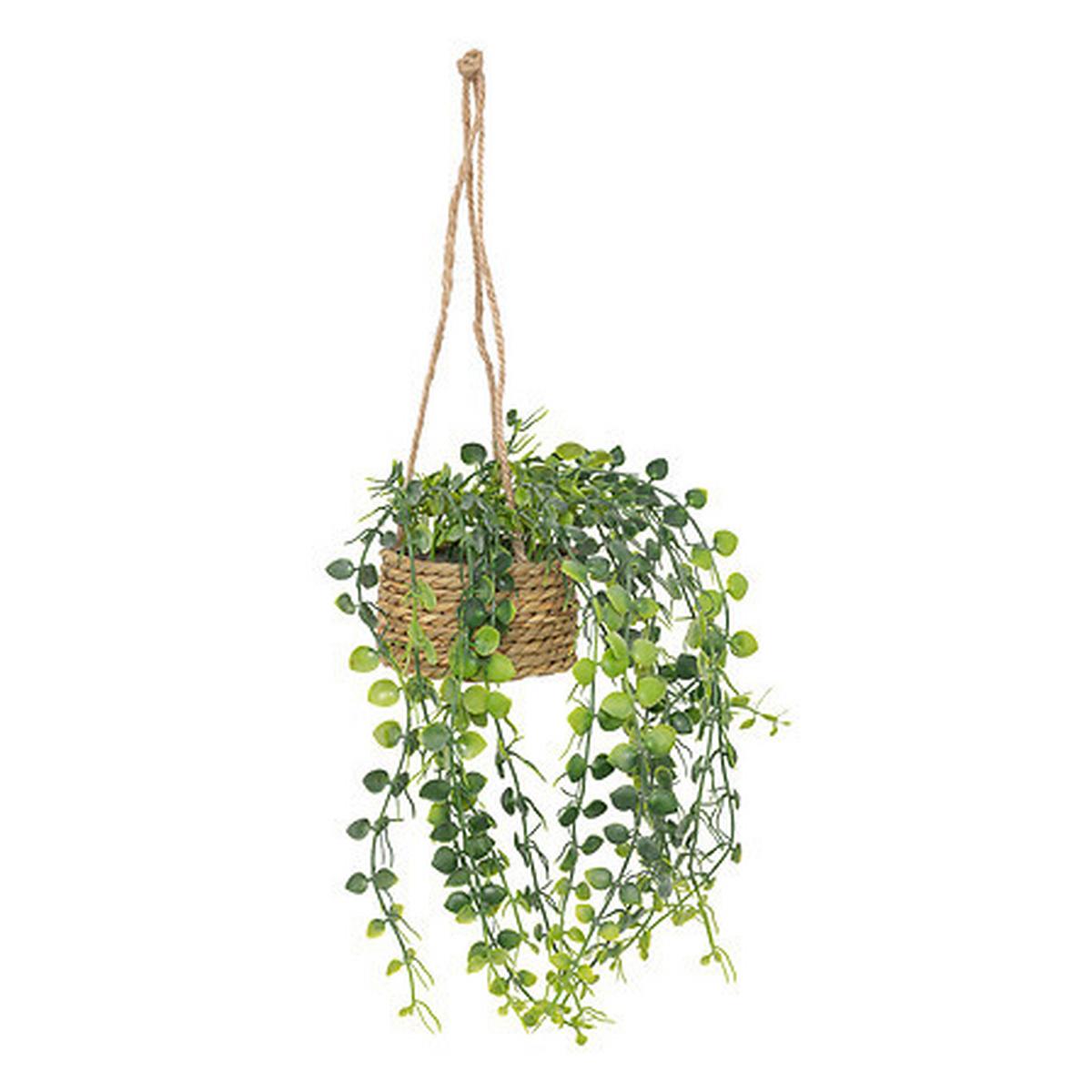 Plantă decorativă Patri - Basics (14/47/14cm)