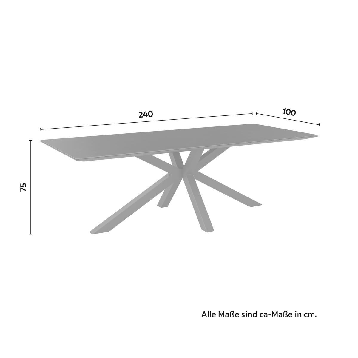 Gartentisch Marbella Anthrazit Aluminium - Anthrazit, MODERN, Glas/Metall (240/75/100cm) - Mömax