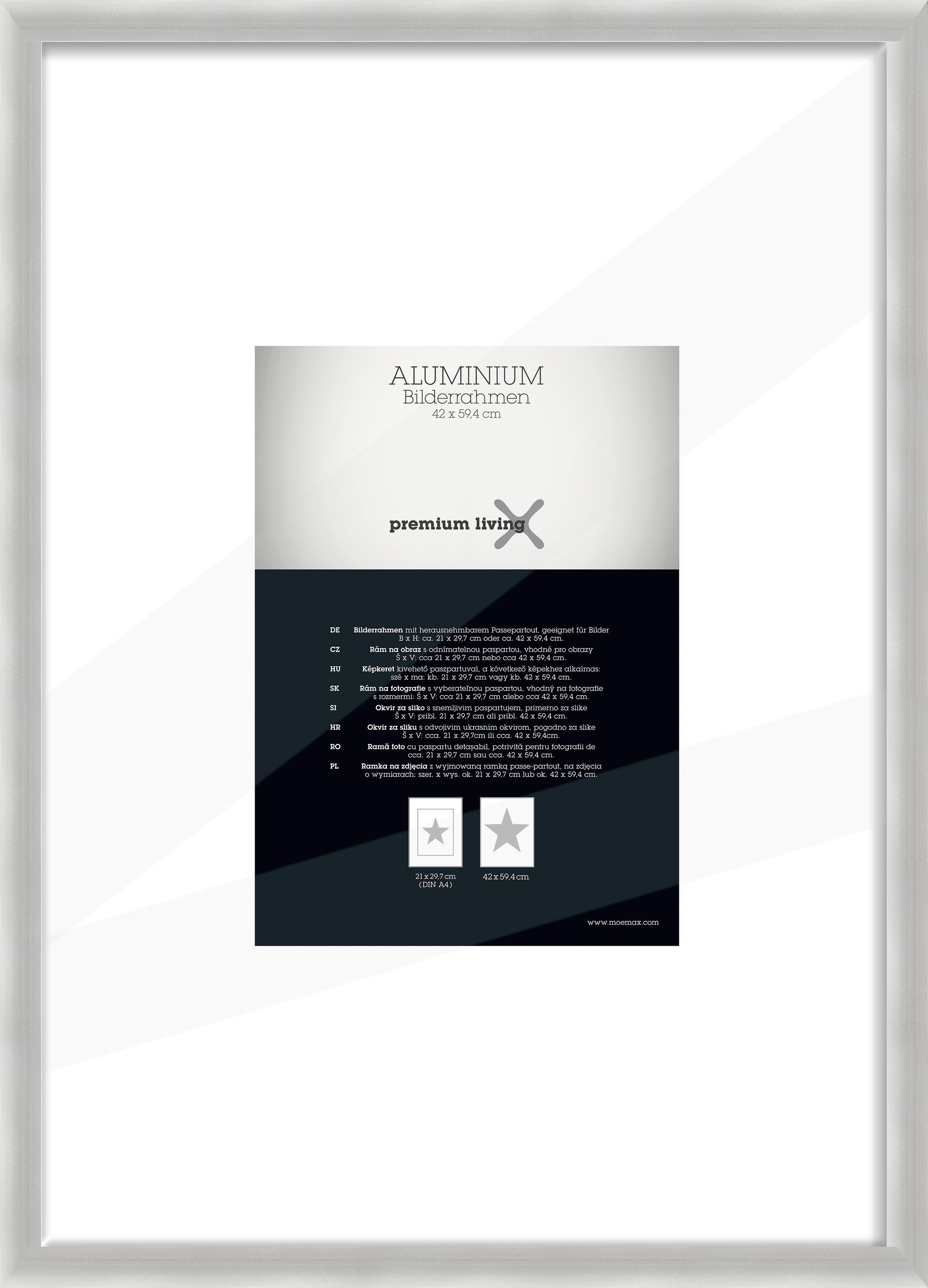 Bilderrahmen Aluminium ca. 45x62cm - Silberfarben, Basics, Metall (45,1/62,5/2.2cm) - Premium Living