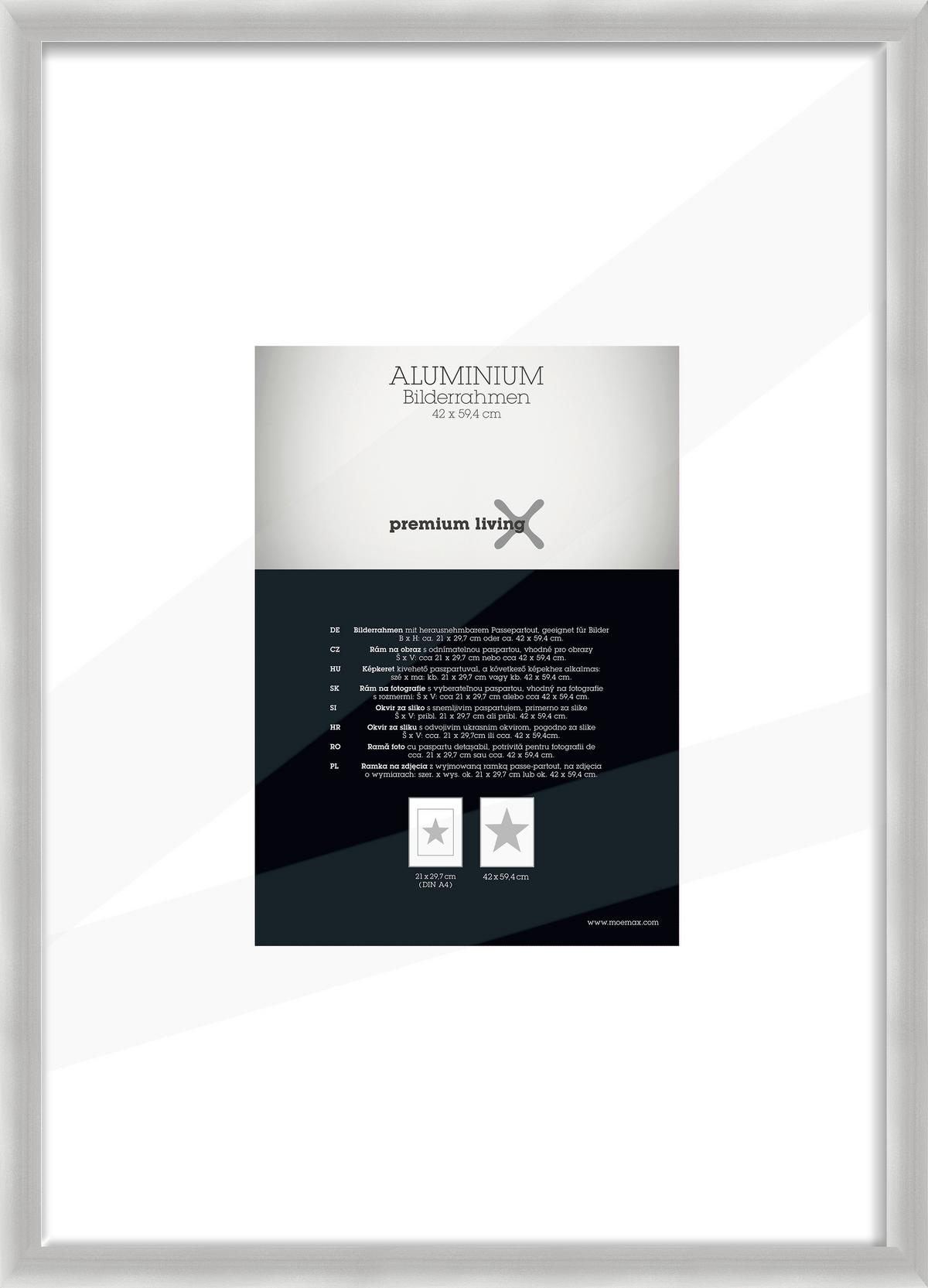 Bilderrahmen Aluminium ca. 45x62cm - Silberfarben, Basics, Metall (45,1/62,5/2.2cm) - Premium Living