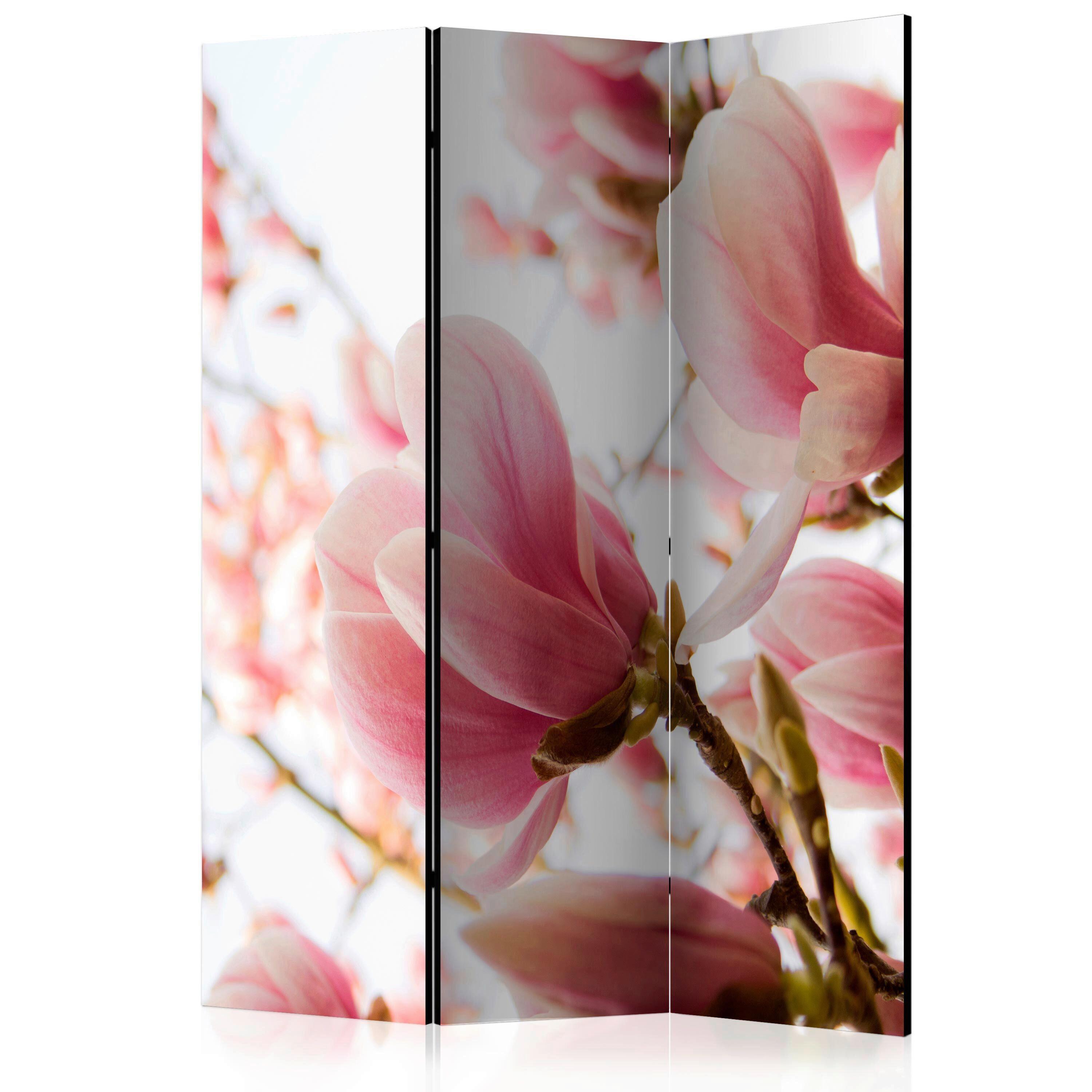 Paravan Pink Magnolia, 3-Delni, Dvostranski - pink/bela, Basics, tekstil/les (135/172/3cm) - artgeist