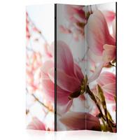 Paravan Pink Magnolia, 3-Delni, Dvostranski - pink/bela, Basics, tekstil/les (135/172/3cm) - artgeist