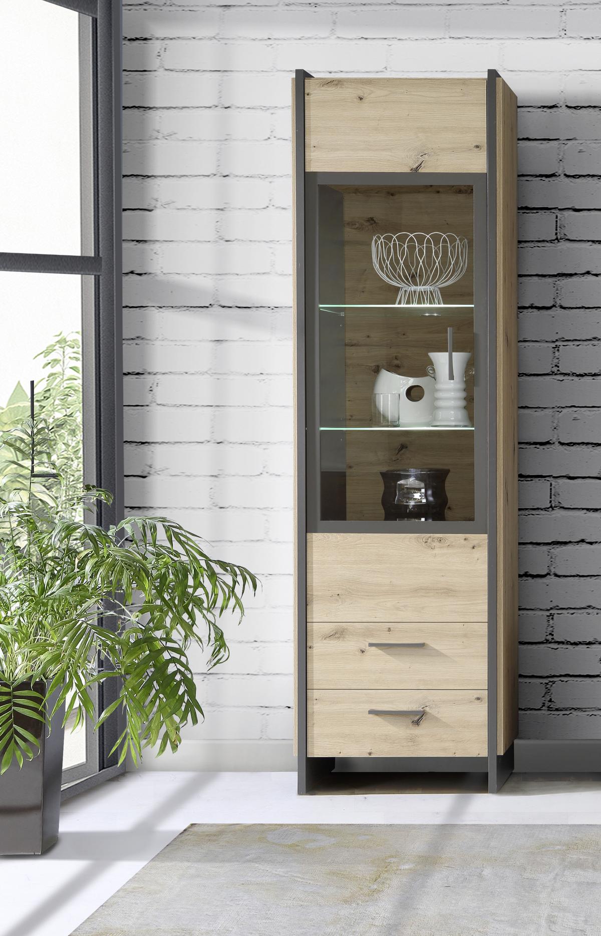 Vitrina Flash, Barva Hrasta, Siva - siva/barve hrasta, Moderno, umetna masa/steklo (57,4/204,5/41,3cm) - Hom`in