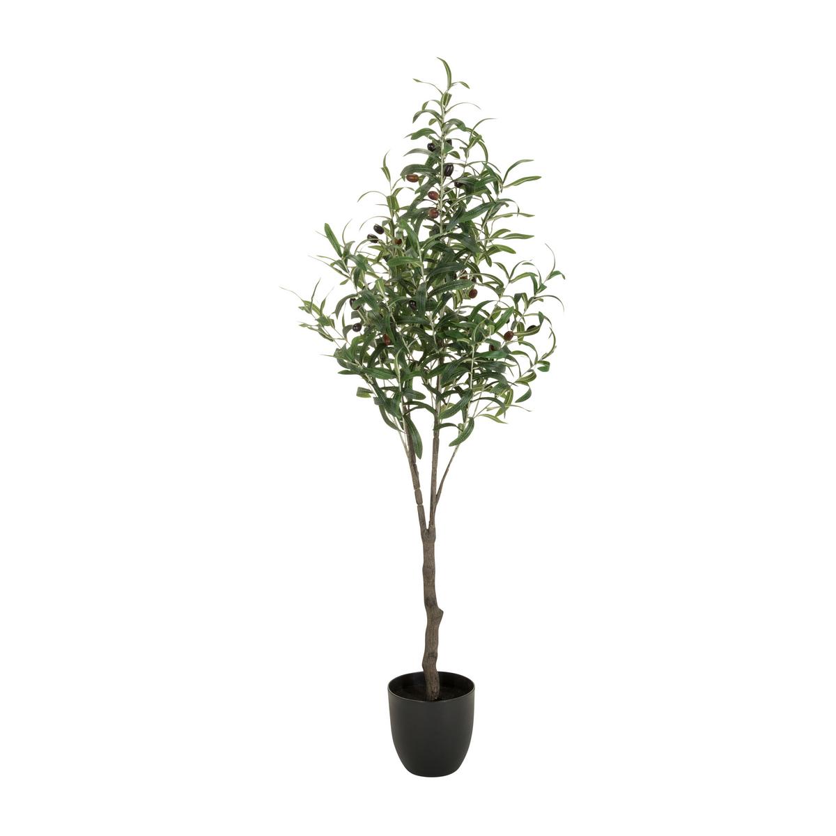 Umetna Rastlina Olive - črna/zelena, Basics, umetna masa (45/120/45cm) - MID.YOU