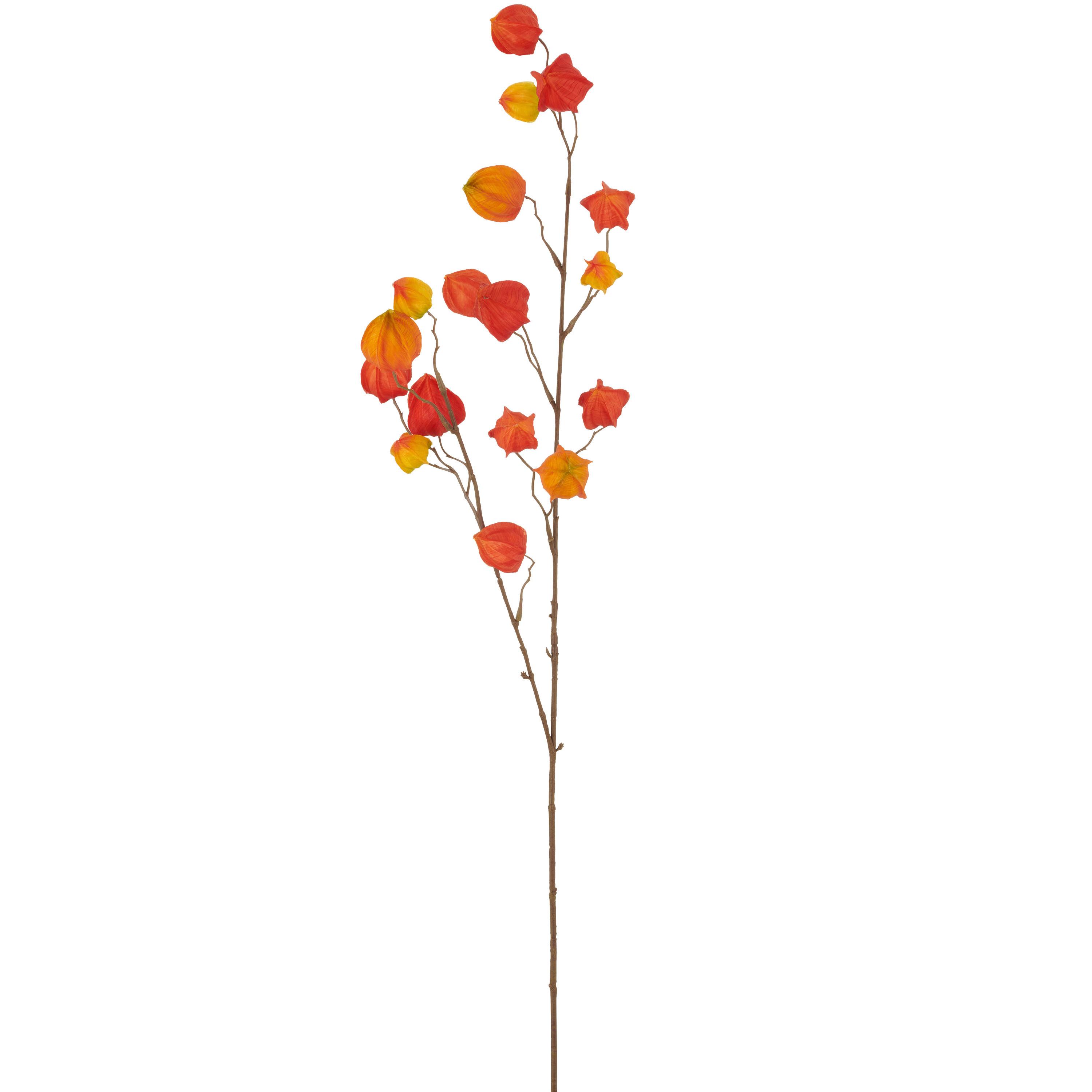 Kunstpflanze Physaliszweig I Braun/Orange - Orange/Braun, Basics, Kunststoff (105cm) - Mömax