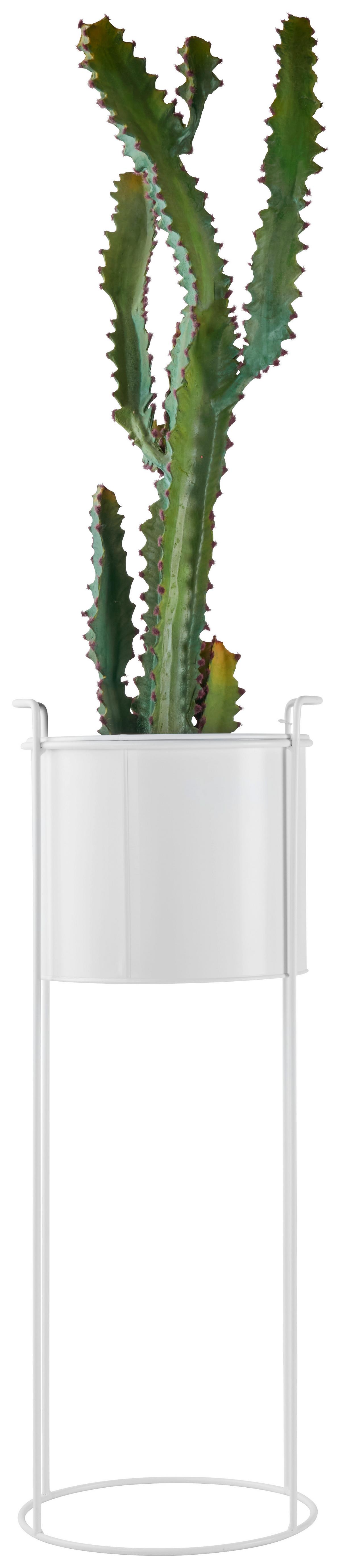 Virágállvány Trelleborg - fehér, Basics, fém (28/80cm) - Modern Living
