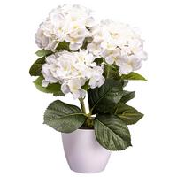 Kunstpflanze Begonienbusch I In Weiss - Weiss/Dunkelrosa, Konventionell, Kunststoff (32cm) - Modern Living