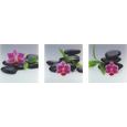 Glasbild Purple Moods, 30x90x1,7cm - Multicolor, MODERN, Glas (30/90/1,7cm) - Mömax modern living Glasbild Purple Moods, 30x90x1,7cm - Multicolor, MODERN, Glas (30/90/1,7cm) - Mömax modern living