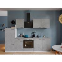 Kuhinjski Blok Z Aparati Malia, 270cm - barve nerjavečega jekla/siva, Basics, kovina/leseni material (270cm) - Respekta