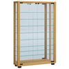 Vitrina Lumo, Bukev - barve bukve, Moderno, umetna masa/steklo (59/91,3/18cm) - MID.YOU