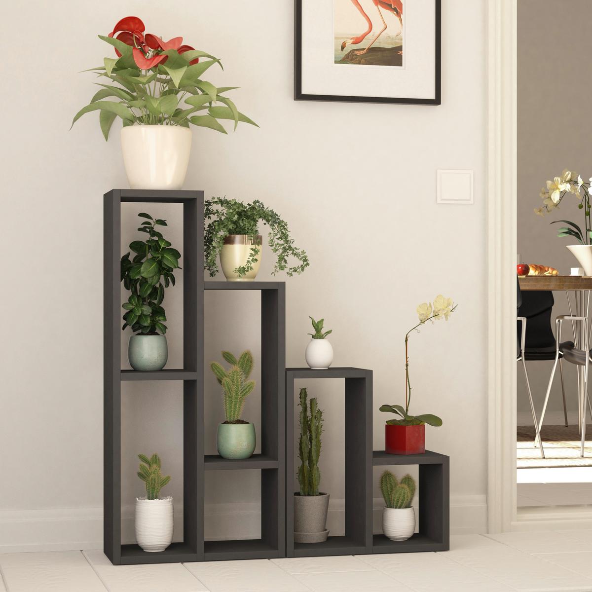 Regal Sule - antracit, Design, leseni material (42/89/20cm) - Livetastic