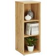 Regal Ducato - hrast, Moderno, kovina/umetna masa (43/116/40cm) - Premium Living