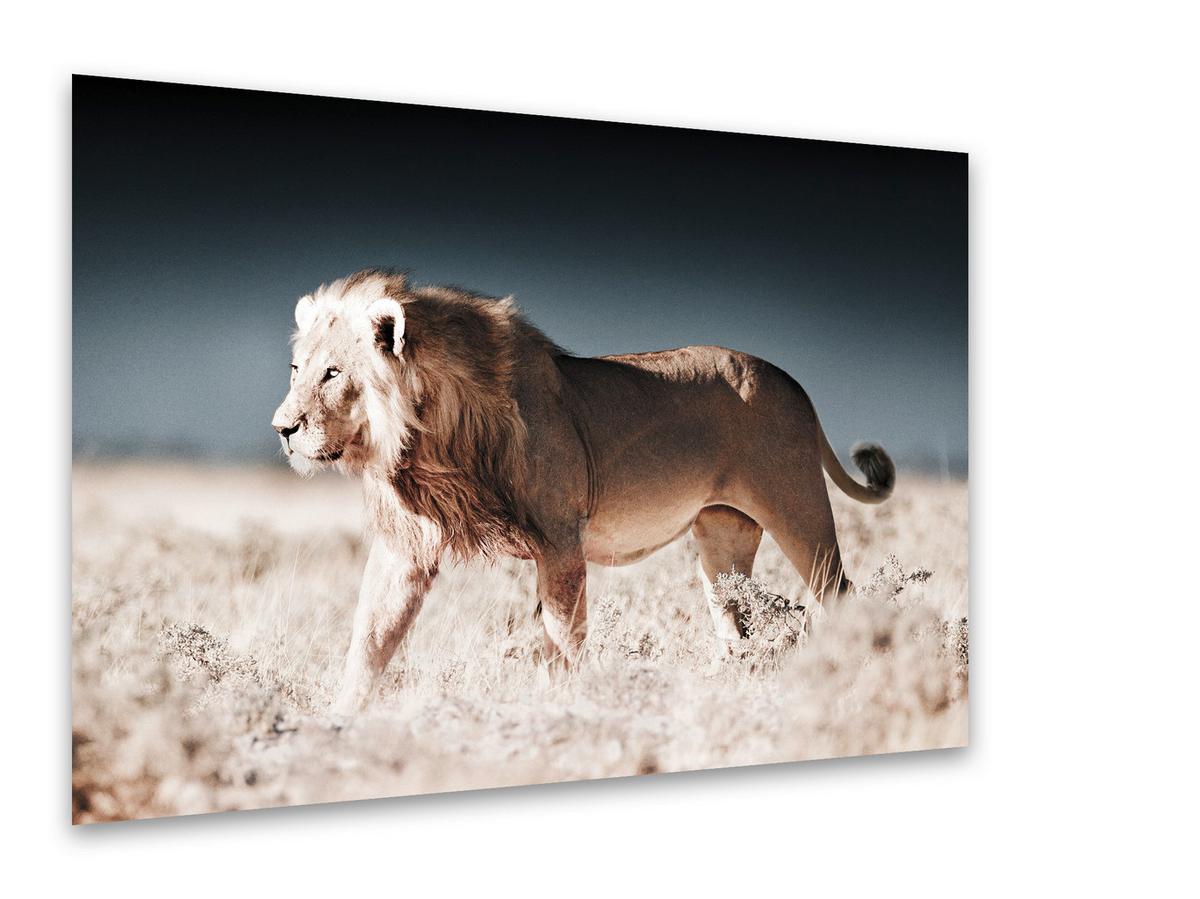 Glasbild Vetro ca. 70x100cm - Hellbraun/Beige, Glas/Papier (100/70cm) - Modern Living
