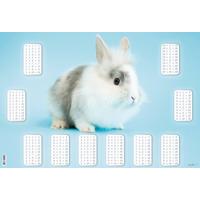 Schreibunterlage Bunny ca. 60x40cm - Kunststoff (60/40cm)