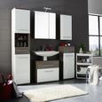 Oberschrank Weiß/Braun - Dunkelbraun/Alufarben, KONVENTIONELL, Holzwerkstoff/Metall (40 78 22cm) - Premium Living Oberschrank Weiß/Braun - Dunkelbraun/Alufarben, KONVENTIONELL, Holzwerkstoff/Metall (40 78 22cm) - Premium Living