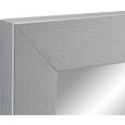 Wandspiegel ca. 50x150x2cm - Silberfarben, Glas/Holzwerkstoff (50/150/2cm)