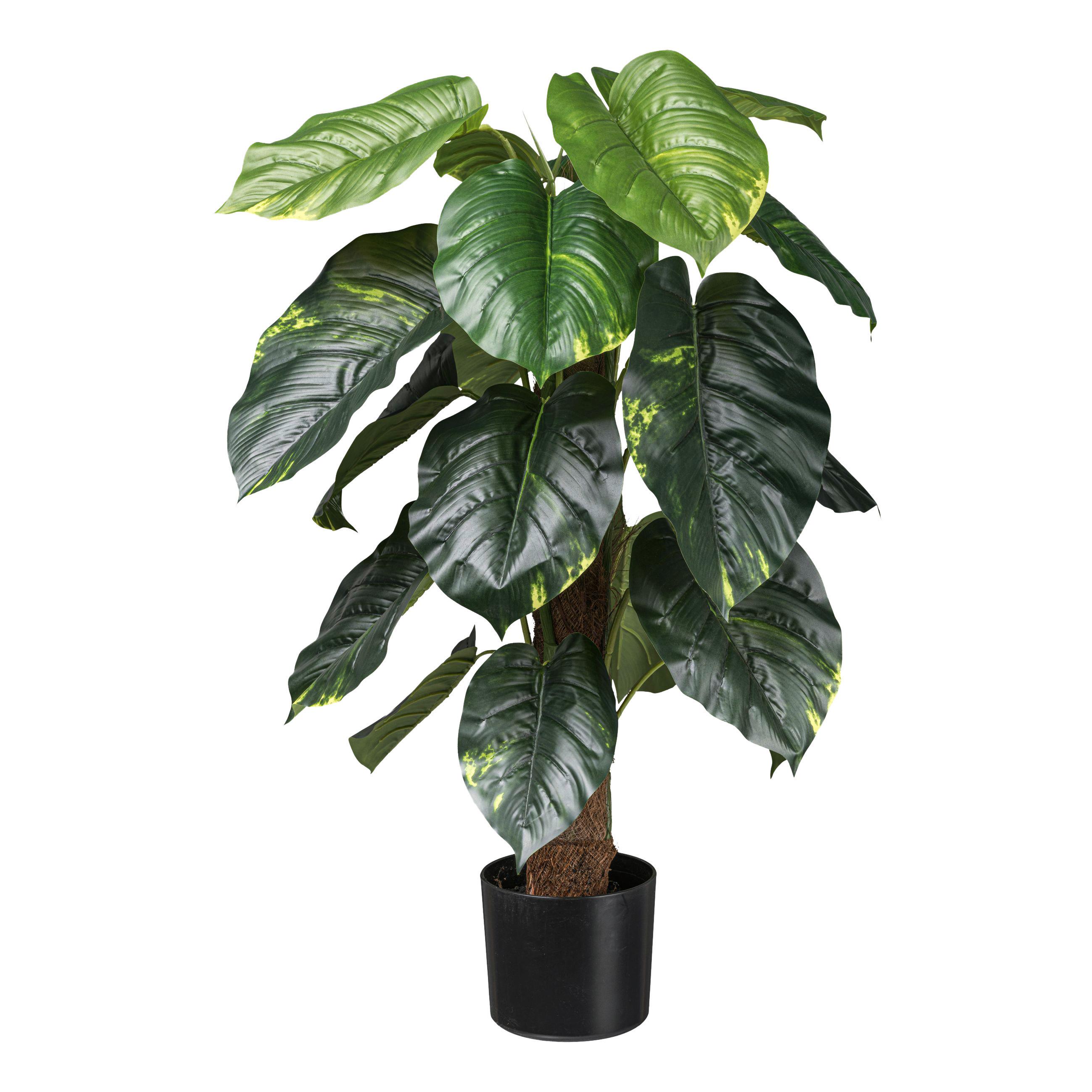 Umjetna Biljka 90cm Philodendron - zelena/smeđa, Basics, plastika (90cm) - Modern Living