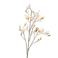 MAGNOLIA 9203-778 MAGNOLIE - zielony/biały, Basics, tworzywo sztuczne (110cm)