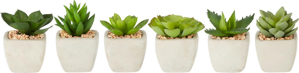 Műnövény Sukkulente - zöld, Lifestyle, műanyag (7-9cm) - Modern Living