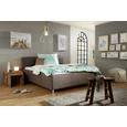 Polsterbett Anthrazit 180x200cm - Anthrazit, KONVENTIONELL, Kunststoff/Textil (198/50/95/216cm) - Premium Living