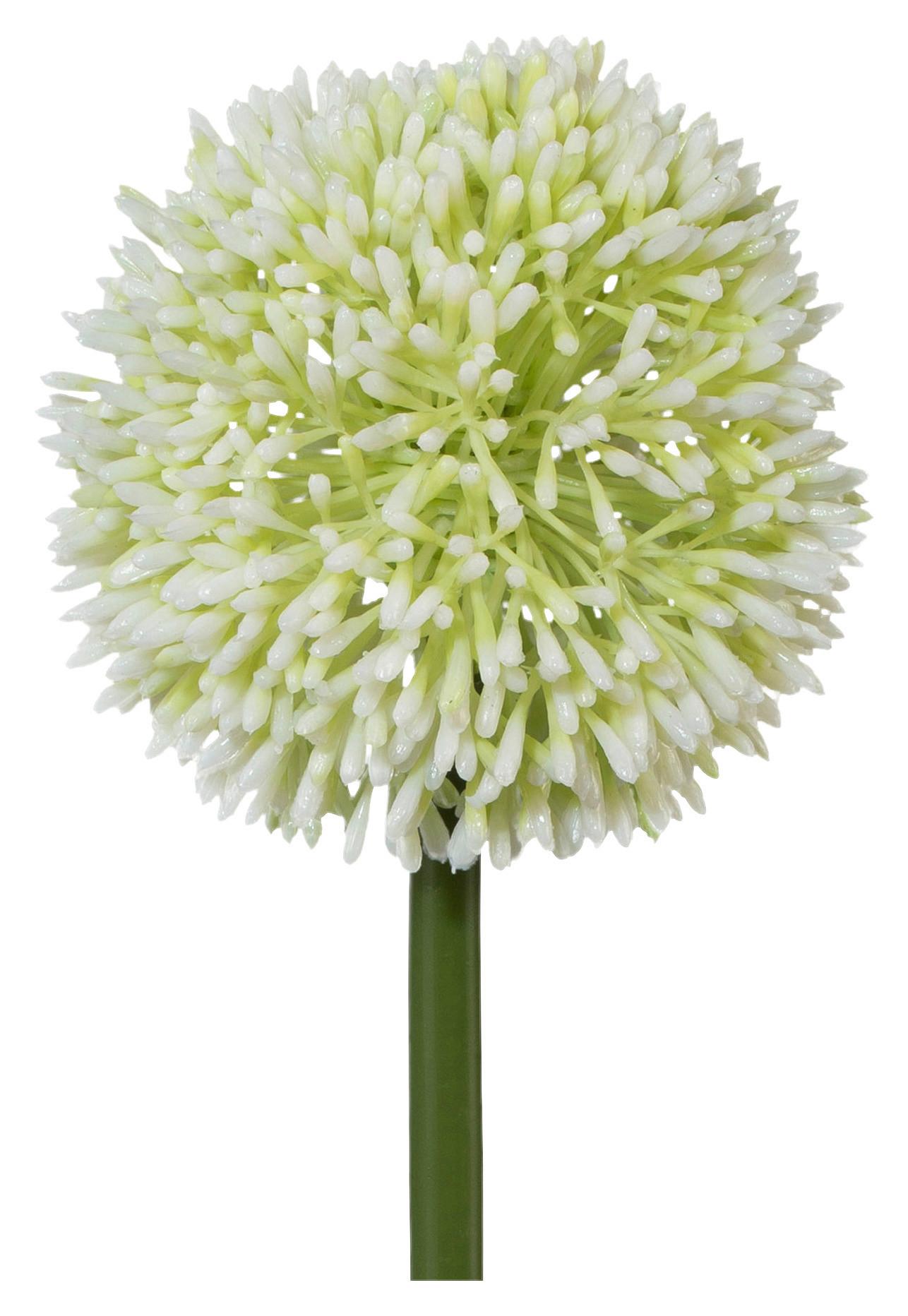 Allium Weiß ca. 64cm - Weiß/Grün, Basics, Kunststoff/Metall (64cm)