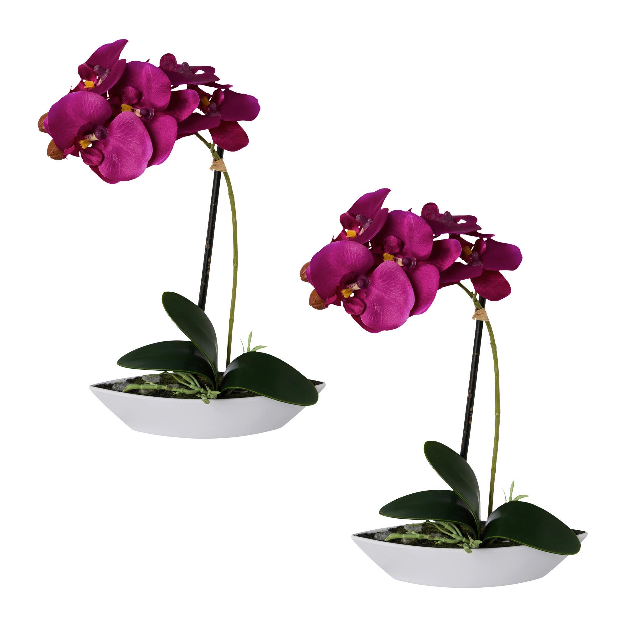 Kunstpflanze Orchideen 2er Set Lila/Grün - Lila/Weiß, Design, Keramik/Kunststoff (30cm)