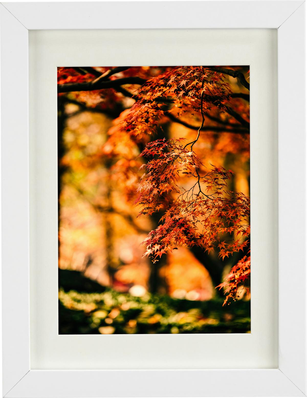 Bilderrahmen Gitta in Weiß ca. 50x70cm - Weiß, MODERN, Holzwerkstoff/Kunststoff (50/70cm) - Modern Living