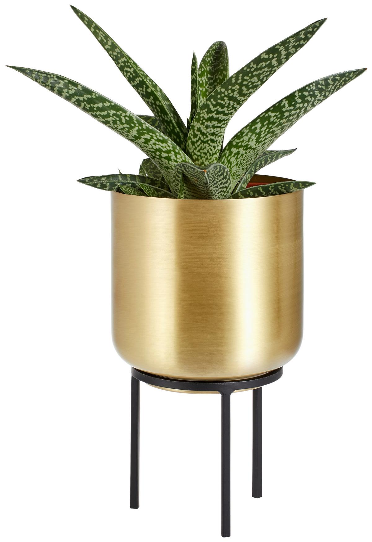 DONICZKA NA KWIATY GLAM LIVING - czarny/kolor złoty, Trend, metal (13/23cm) - Ambia Home