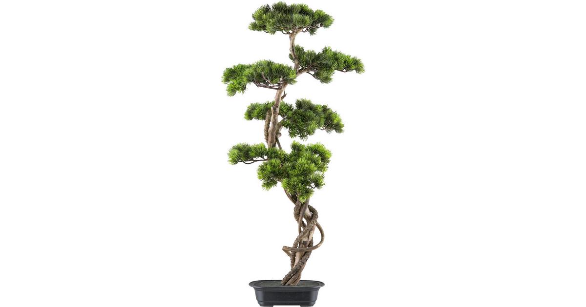 Kunstpflanze Bonsai Grn/Braun online kaufen  mmax