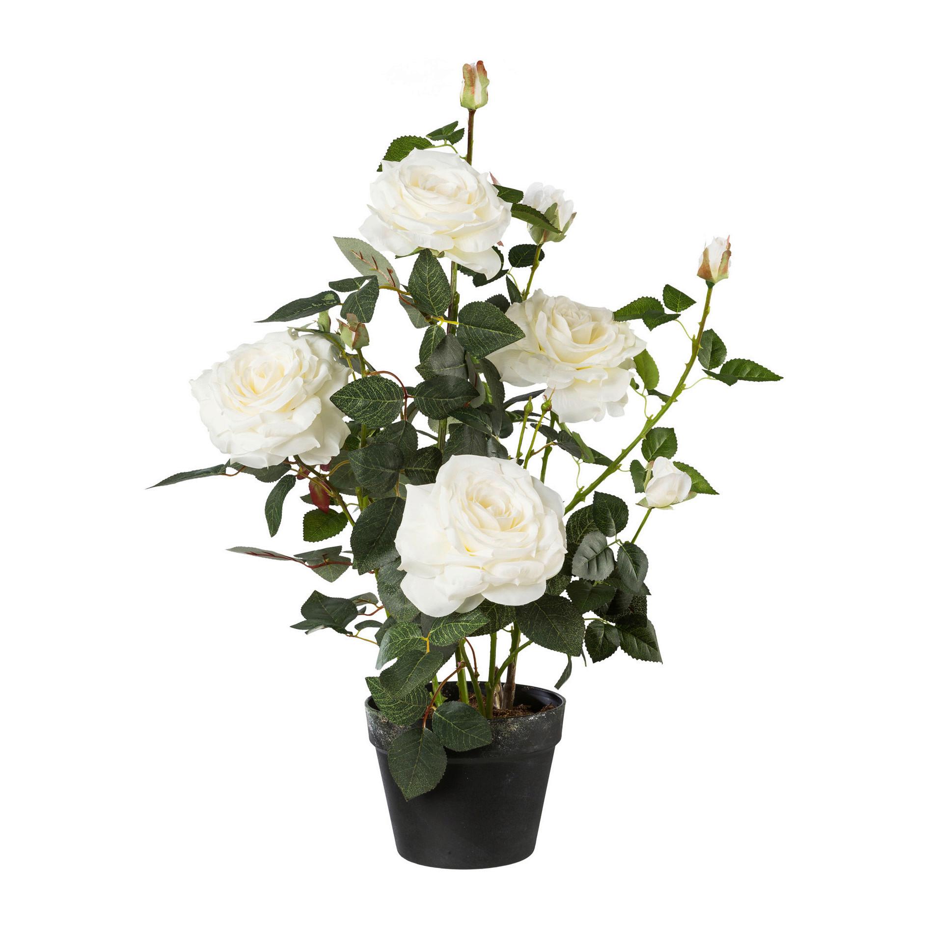 Kunstpflanze Rosenstock ca. 68cm - Weiß/Grün, Trend, Kunststoff (68cm) - MID.YOU