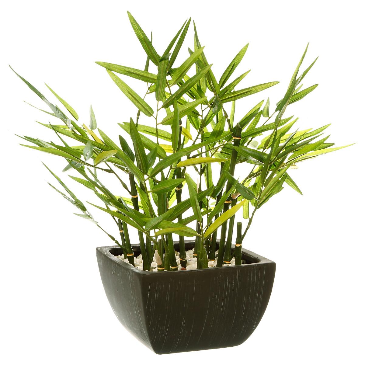 Umetna Roža Bamboo In Pot - Design (33/33/35cm)