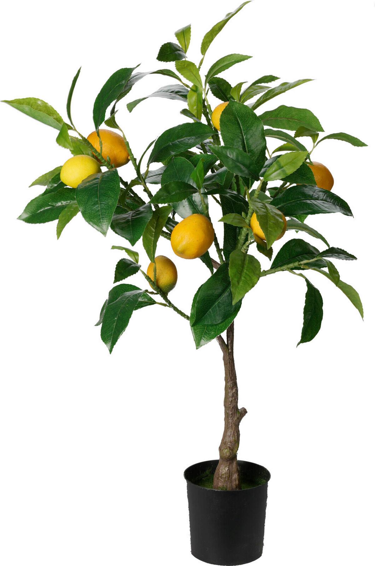 Citromfa Lemon Tree - műanyag (33/25/70cm)