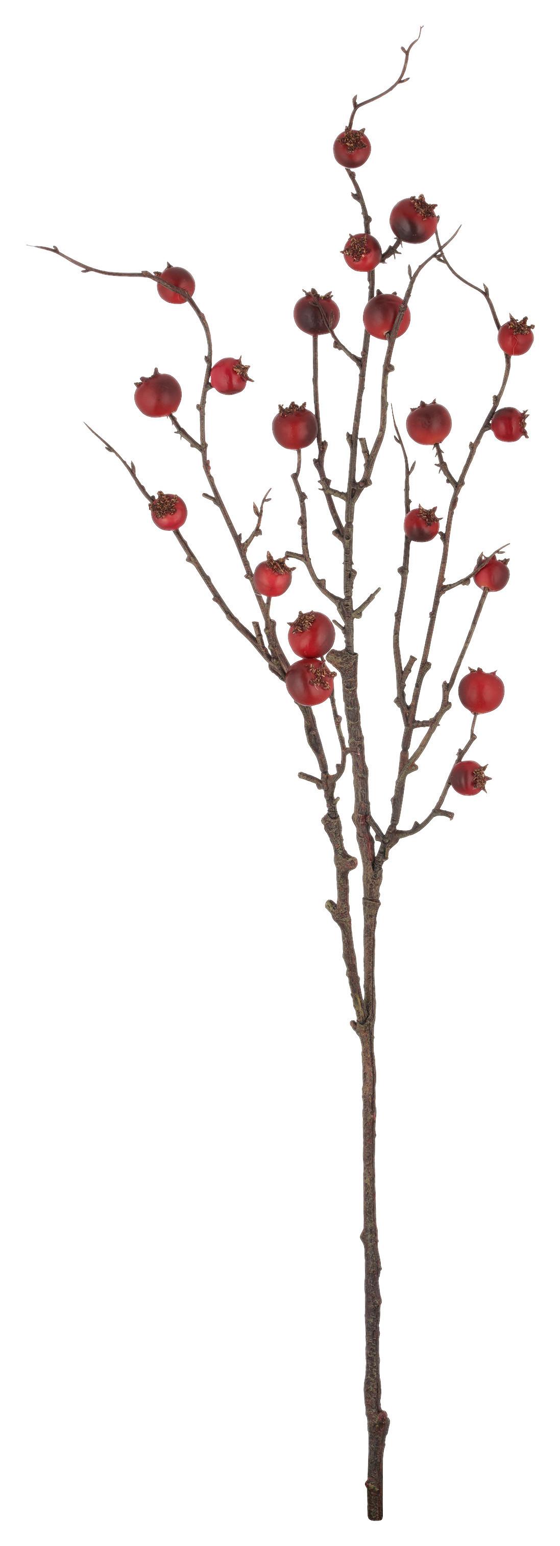 Kunstpflanze Hagebuttenzweig I Braun/Rot - Rot/Braun, Basics, Kunststoff (86cm) - Mömax