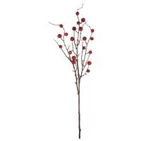 Kunstpflanze Hagebuttenzweig I Braun/Rot - Rot/Braun, Basics, Kunststoff (86cm) - Mömax
