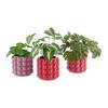 Blumentopf Holly Rot - Rot, MODERN, Keramik (15/15/15cm) - Mömax
