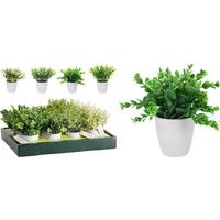 Biljka Umjetna Rolound Ø:8cm - Basics (8/7,5cm)