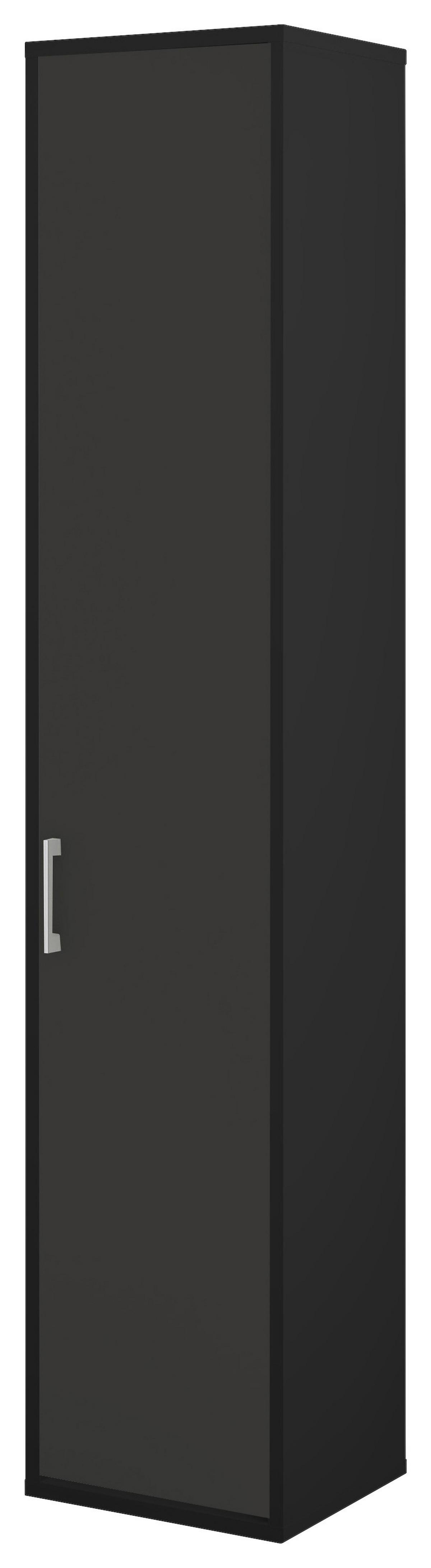 Tür Big Profi Office - Anthrazit/Alufarben, Modern, Holzwerkstoff/Metall (38/211/40cm) - Mömax