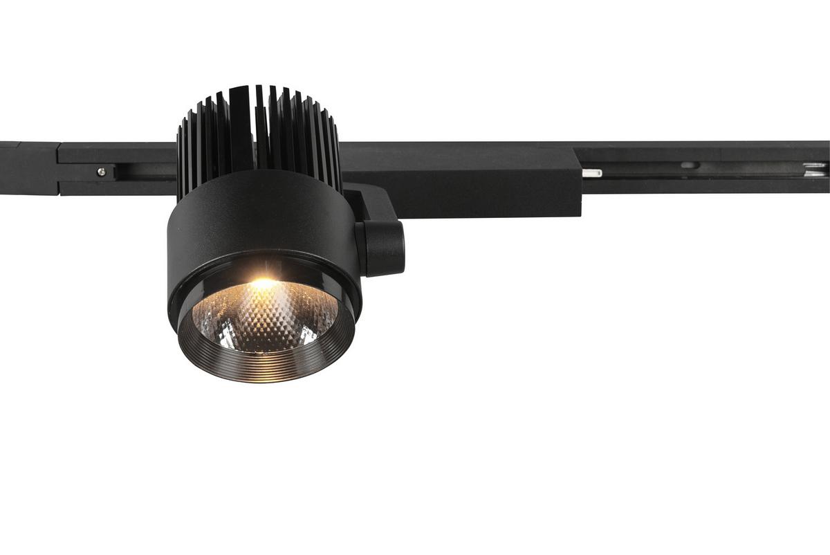 Deckenleuchte Duoline Radiator Schwarz max. 15 Watt - Schwarz, Basics, Metall (23/22,3/9cm) - Trio Leuchten