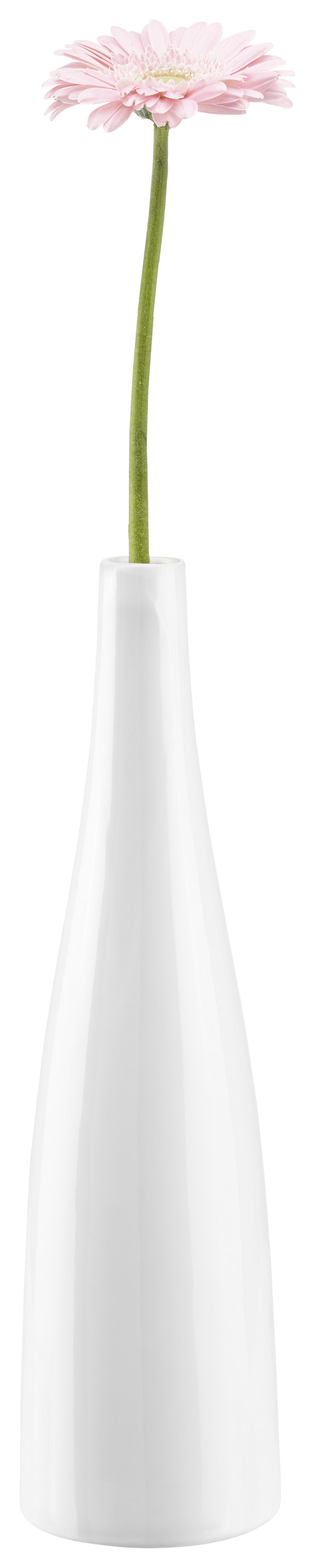 Vase Plancio aus Porzellan in Weiß - Weiß, MODERN, Keramik (10,5/39.6cm) - Modern Living