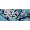 Glasbild Blossom IIi, ca. 30x80x2cm - Multicolor, MODERN, Glas (30/80/2cm) - MÖMAX modern living