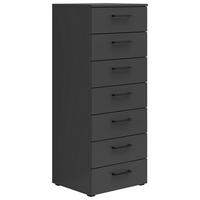 Kommode Multistauraum Graphitfarben - Anthrazit/Graphitfarben, Modern, Holzwerkstoff/Kunststoff (45/115/40cm) - Premium Living