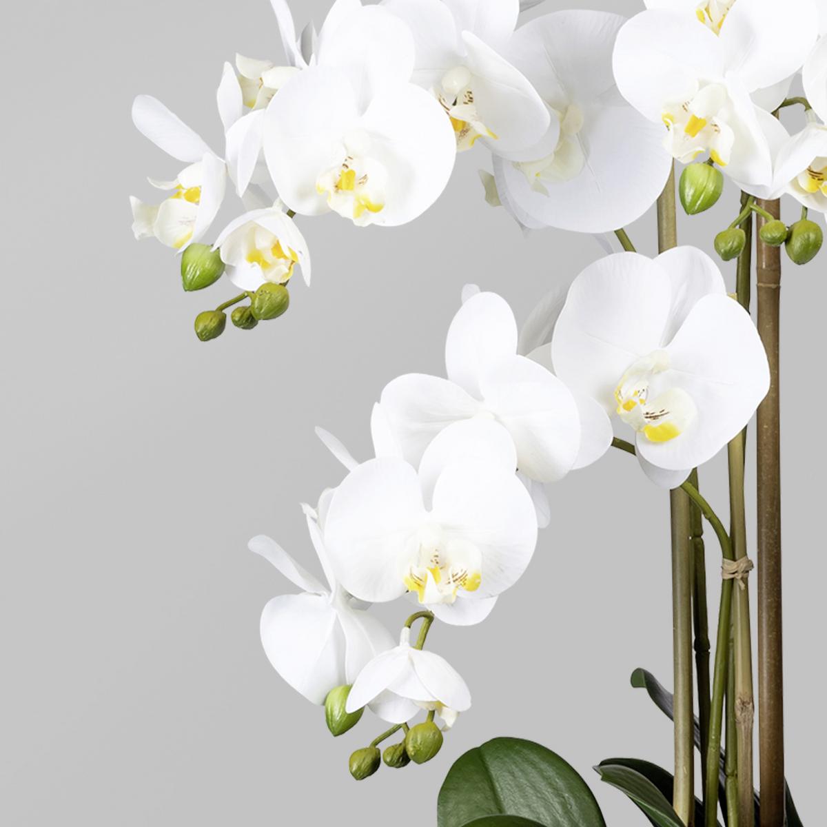 Kunstblume Orchidee, ca. 75cm - Weiß/Braun, Trend, Kunststoff (75cm) - P & B