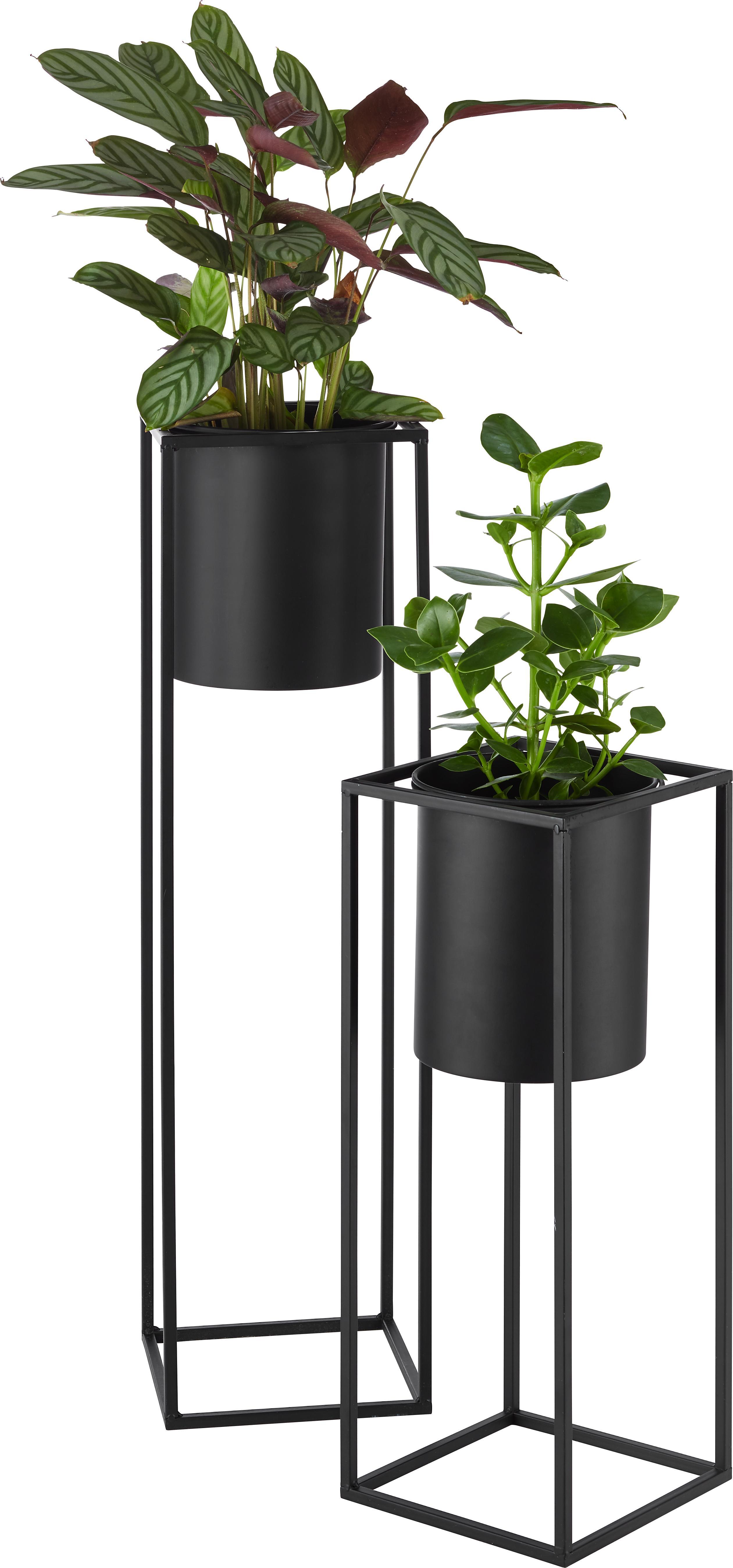 Übertopf Kiara Schwarz - Schwarz, LIFESTYLE, Metall (21/80,5cm) - Mömax modern living