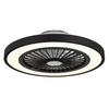 Stropni Ventilator 03653 Bizzak - črna/prosojno, Konvencionalno, kovina/umetna masa (54/15,9cm) - Globo