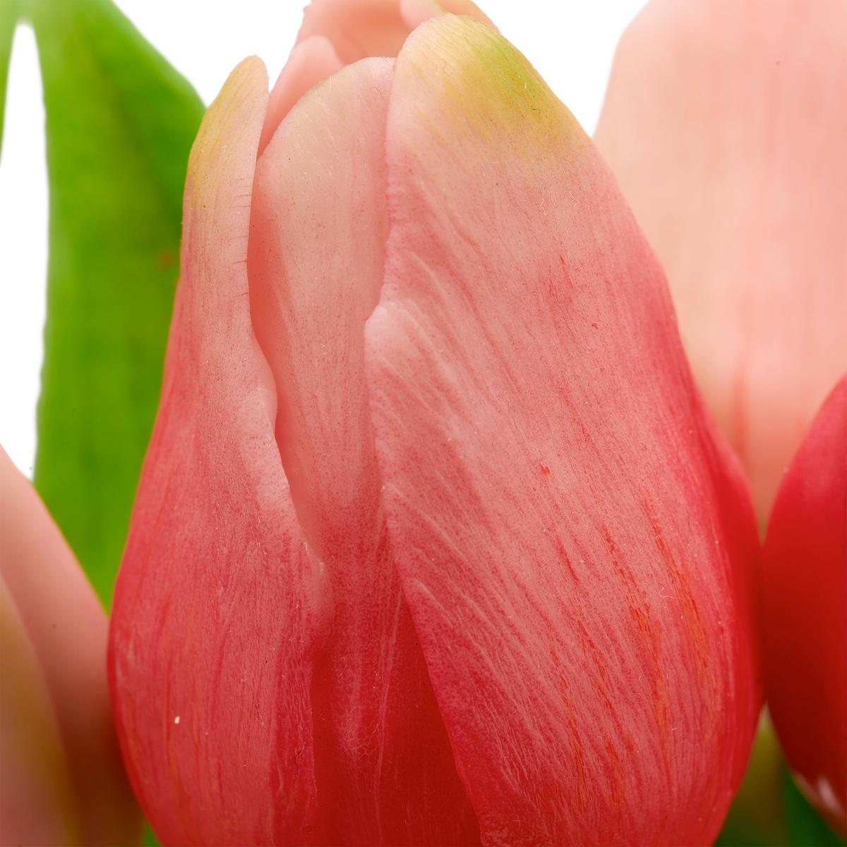 Tulpe Tulpenbund I Rosa/Grün - Pink/Rosa, Basics, Kunststoff/Metall (31cm) - Mömax