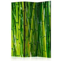 Paravan Bamboo Forest, 3-Delni, Enostranski - svetlo zelena, Basics, tekstil/les (135/172/3cm) - artgeist